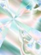 Wedges and Streaks Fractal