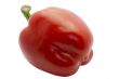 sweet peper