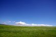 Background of sky and grass