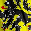 Flemish Flag Closeup