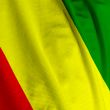 Guinean Flag Closeup