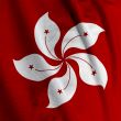 Hong Kong Flag Closeup