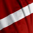Latvian Flag Closeup