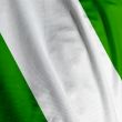 Nigerian Flag Closeup