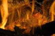 HOT COALS