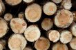 pile of wood