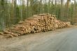 pile of wood