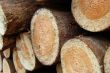 pile of wood