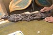 sculptor