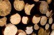Wood piles
