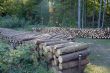 Wood piles