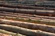 Wood piles