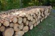 Wood piles