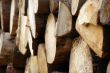 wood piles