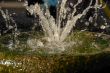 fountain