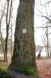 trail sign