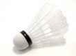shuttlecock