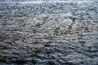 Water Texture