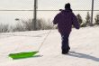 Tobogganing