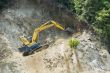 Forest Destruction