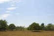 Newly tilled soil