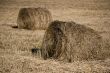 two hayricks on the country