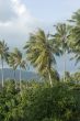 tropical island