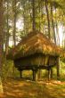 Igorot Hut