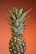 Pineapple Fruit