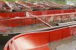 Red Boats