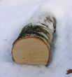 tree bark and wood in the form of a breakdown at snow