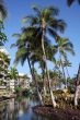 Tropical resort