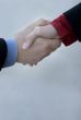 Business Handshake