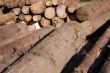 Wood piles