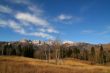 Mountain Meadow 24