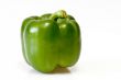 Green Pepper