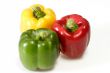 Fresh Peppers