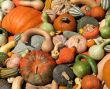 Harvest