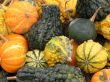 Harvest
