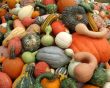 Harvest