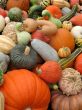 Harvest
