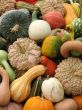 Harvest