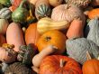 Harvest