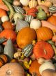Harvest