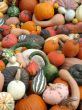 Harvest