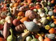 Harvest