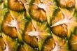fruittime