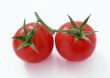 Red tomatos