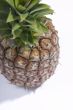 Freshness pineapple