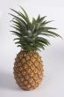Freshness pineapple